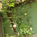 ,, Ekaterina 4* Nessebar