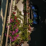 ,, Ekaterina
