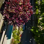 Maison d'hôtes ,, Ekaterina 4*