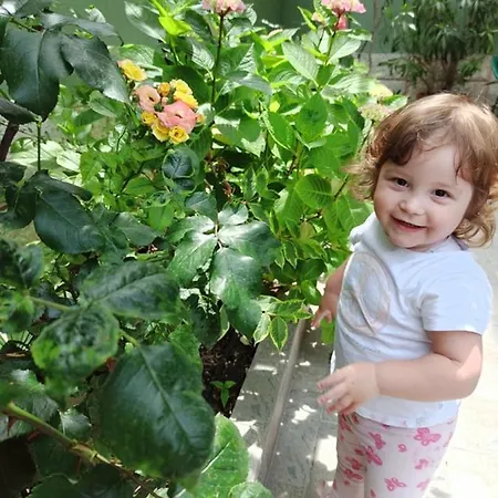 ,, Ekaterina