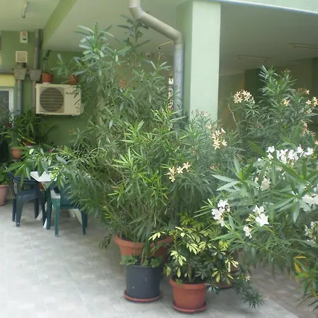 بيت ضيافة ,, Ekaterina