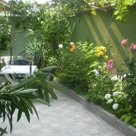 ,, Ekaterina