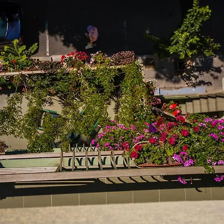 Guest house ,, Ekaterina
