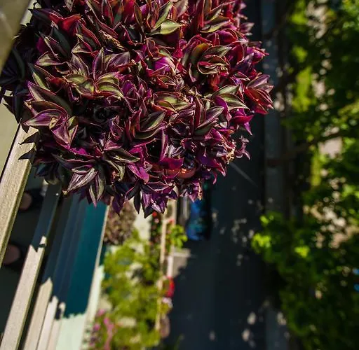 Pensión ,, Ekaterina